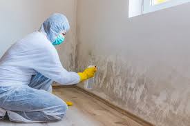 Best Mold Odor Removal Services  in Ara, AL