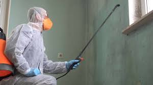 Best Residential Mold Inspection & Testing  in Ara, AL